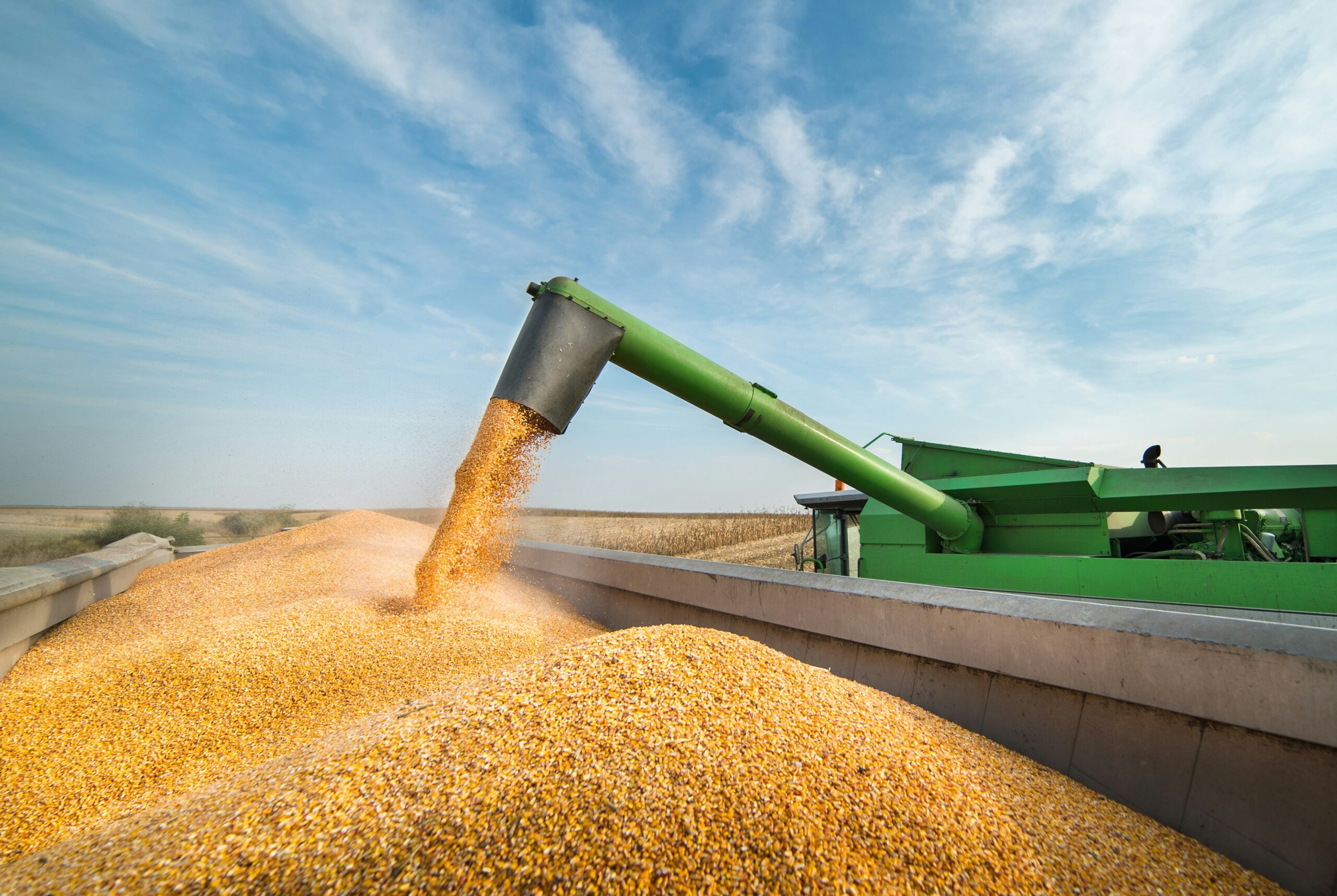 Smith Farms Ltd.