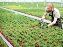 Eco-Friendly Farming