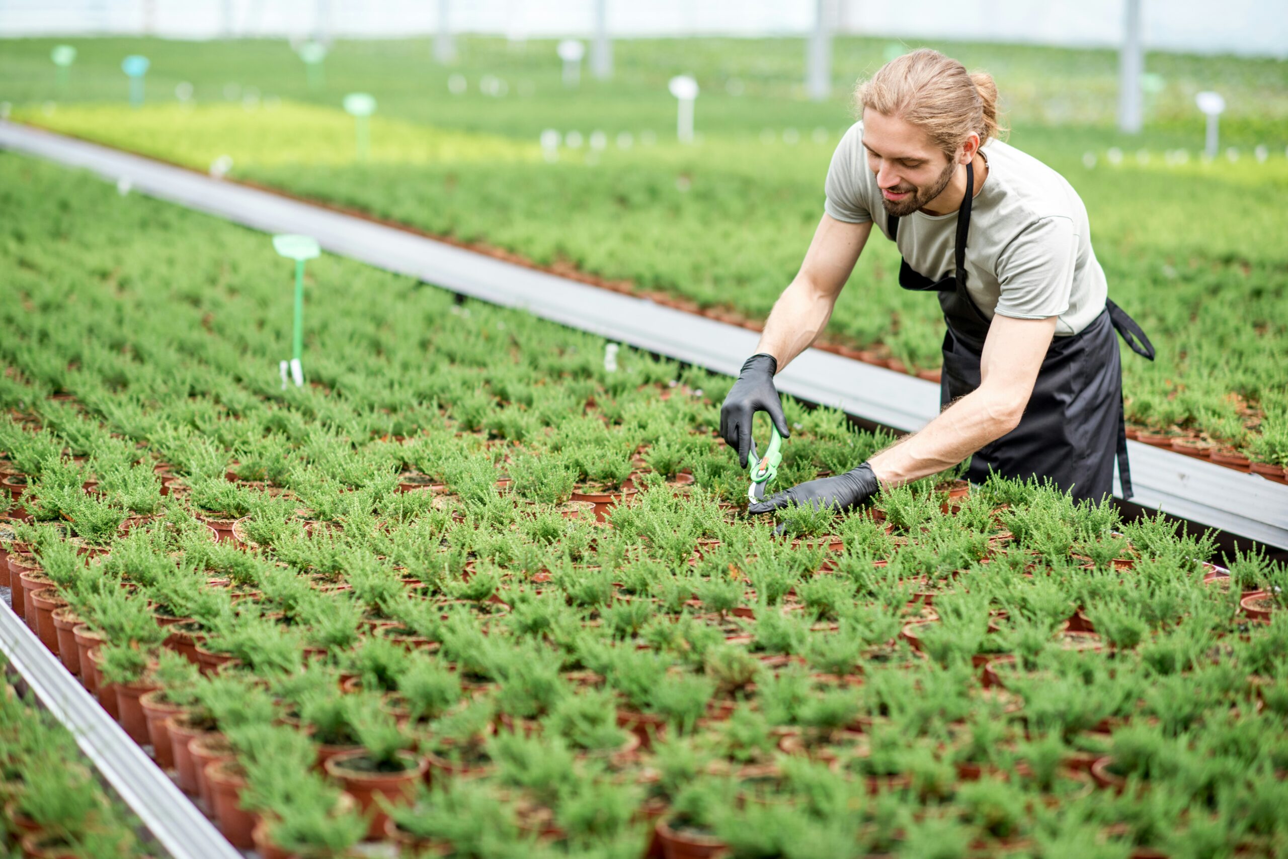 Eco-Friendly Farming