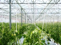 Nathan Smith Realtor