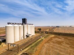 harvest storage management