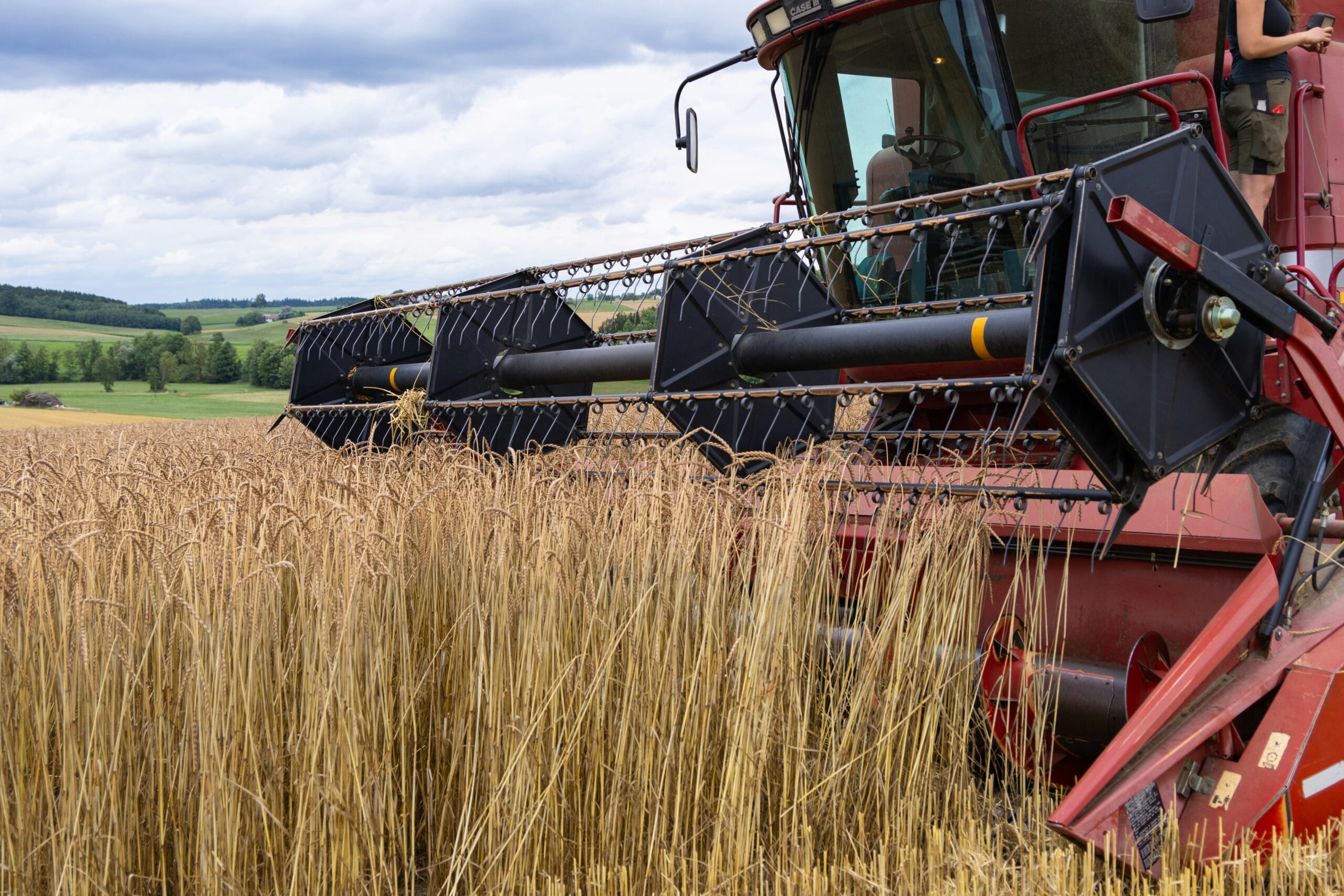 Smith Farms Ltd.
