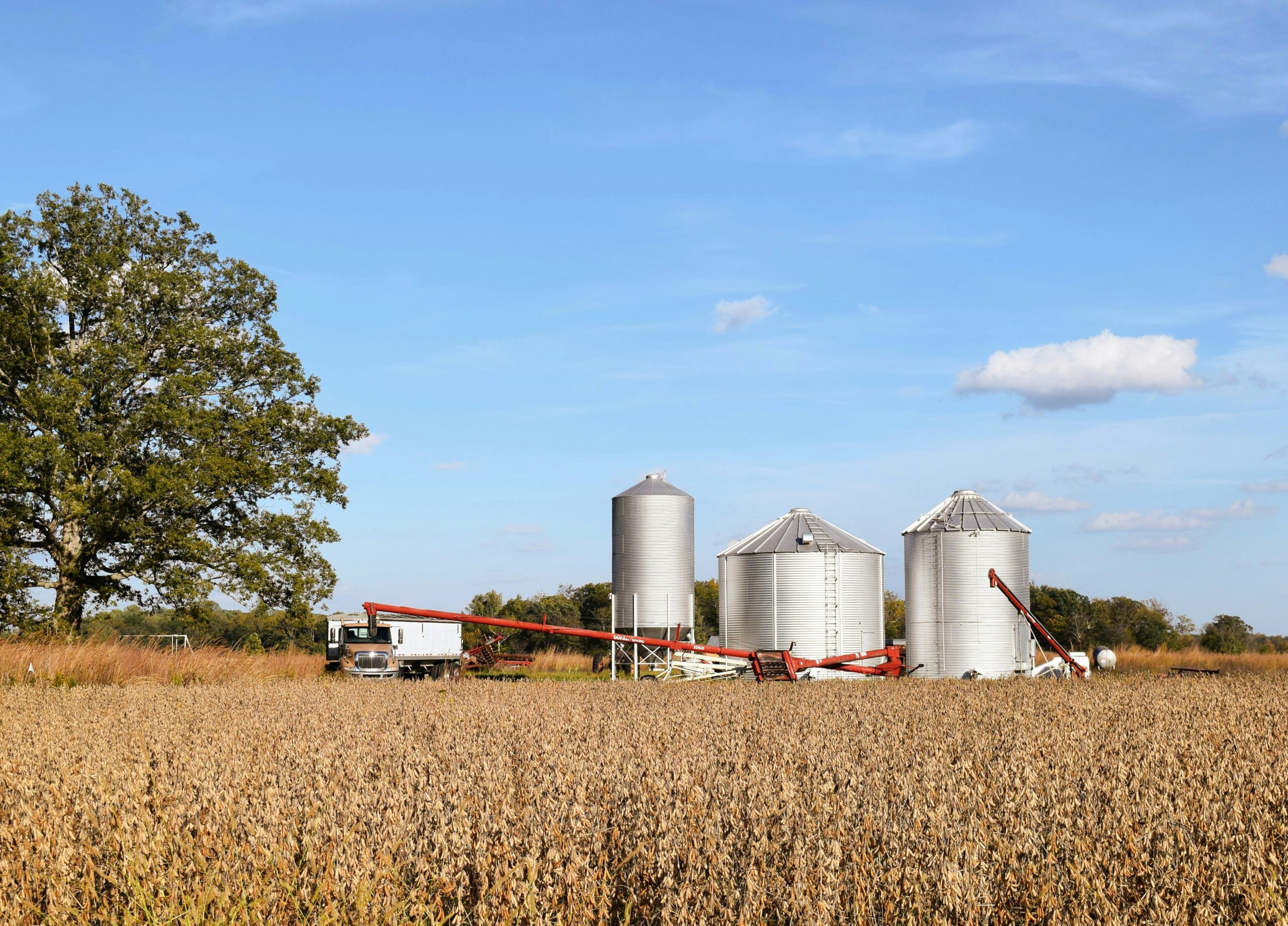 Smith Farms Ltd.
