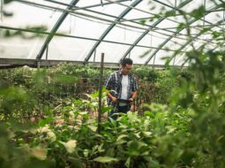 Smith Farms Ltd:Farming Practices