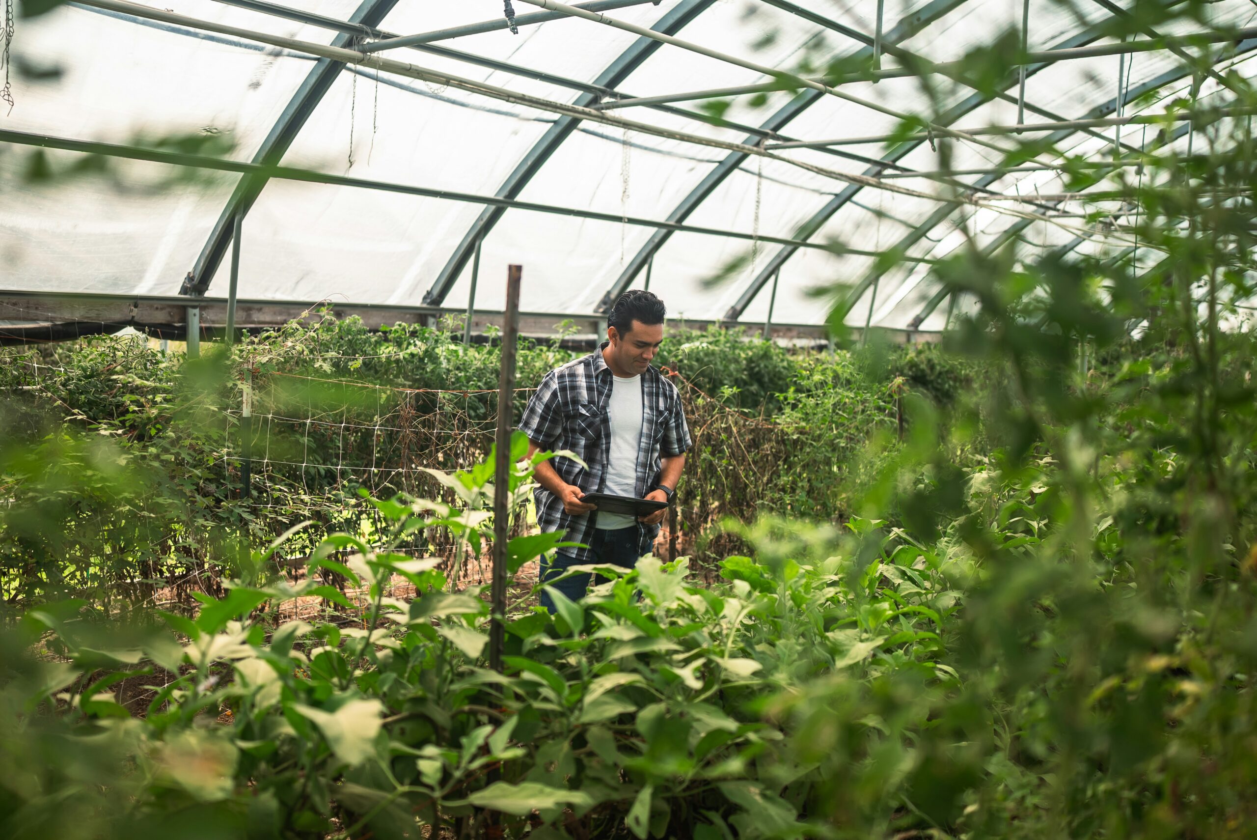 Smith Farms Ltd:Farming Practices