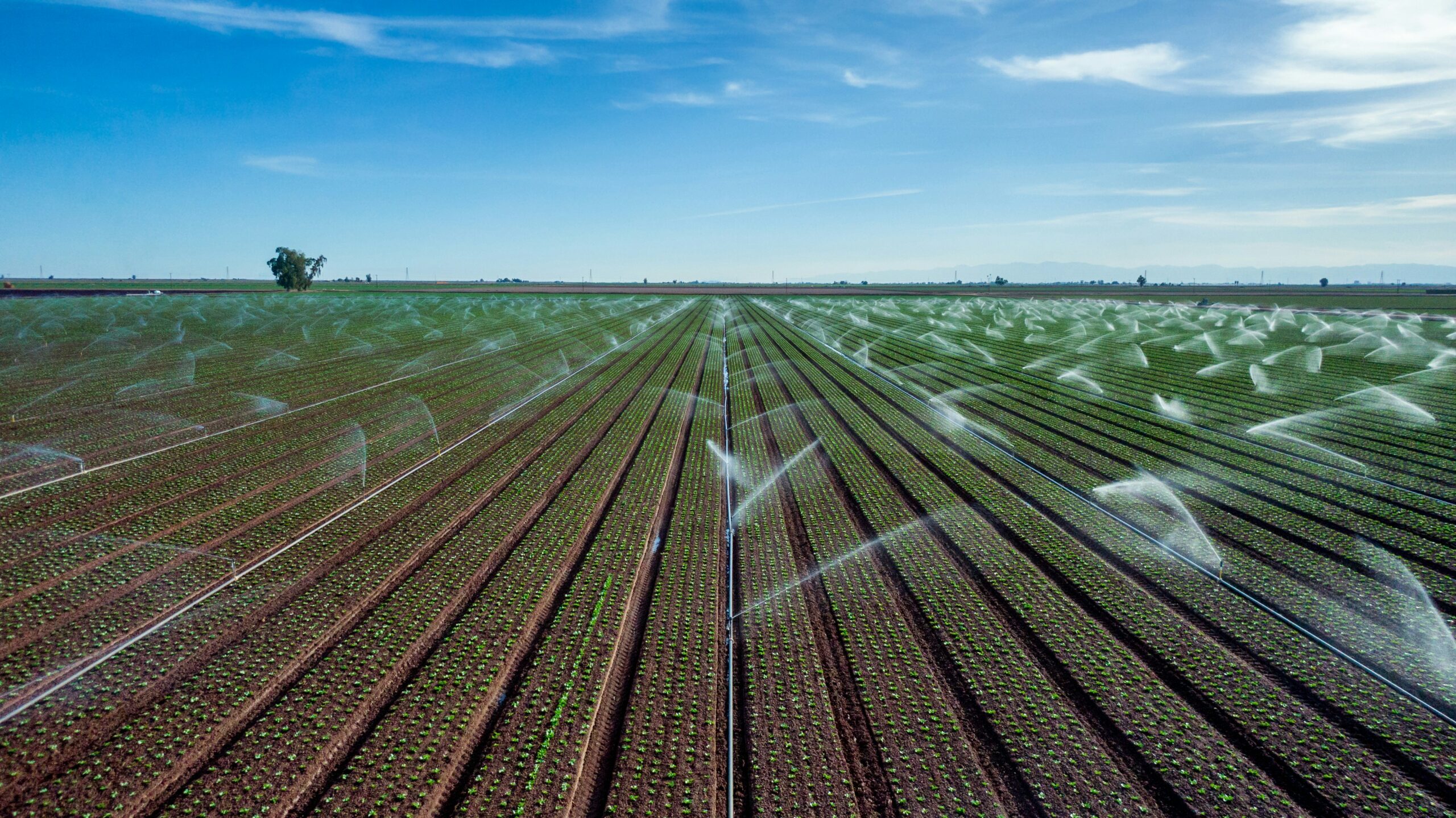 Sustainable Agricultural